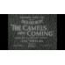 The Camels Are Coming 1934 Jack Hulbert Anna Lee Hartley Power /// Tim Whelan